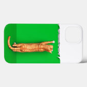 Coques Case-Mate iPhone Coque-coque iphone Mate de papier pour chat tabby (Verso (horizontal))