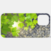 Coques Case-Mate iPhone Coque-Mate à peine là Apple iPhone 12 Pro (Retour (horizontal))