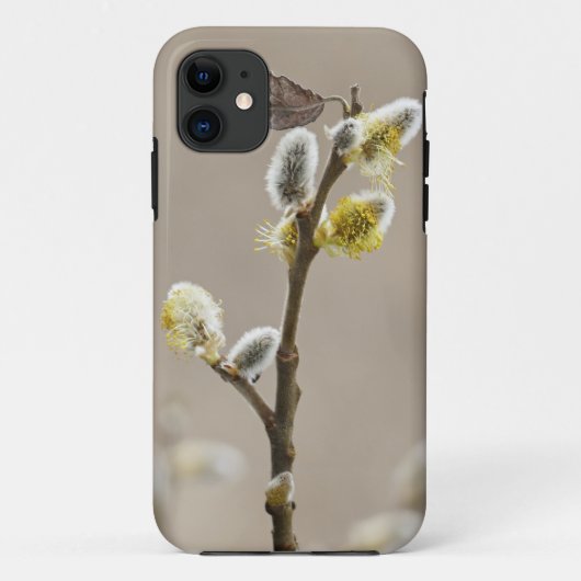 Coques Case-Mate iPhone Coque-Mate Tough Apple iPhone 11 (Dos)