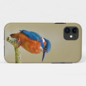 Coques Case-Mate iPhone Coque-Mate Tough Apple iPhone 11 (Dos (Horizontal))