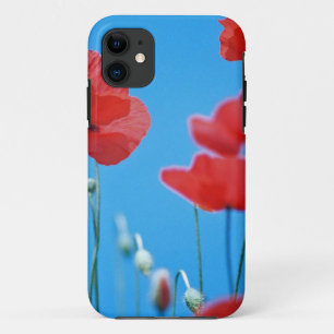 Coque iPhone 11 Coquelicots de Provence