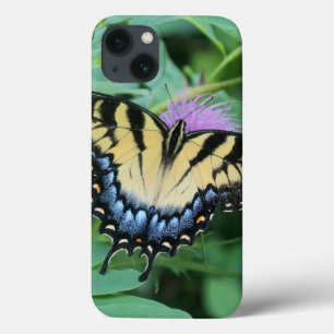 Coques iphone de l'escompte de tigre de l'Est