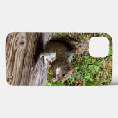 Coques Case-Mate iPhone Coques iphone d'écureuils affamés (Verso (horizontal))