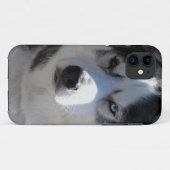 Coques Case-Mate iPhone Coques iphone Husky Chig Coques Husky Malamute (Dos (Horizontal))