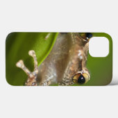 Coques Case-Mate iPhone Coqui commun, coqui d'Eleutherodactylus, EL (Verso (horizontal))