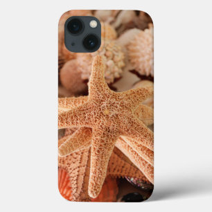 Etui iPhone Case-Mate Coquillages à vendre Zihuatanejo, Mexique
