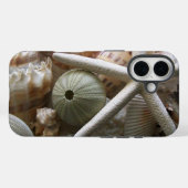Coques Case-Mate iPhone Coquillages Colorés, Écétoche (Verso (horizontal))