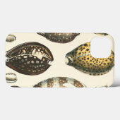 Coques Case-Mate iPhone Coquillages De Forme Unique (Verso (horizontal))