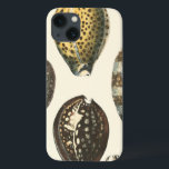 iPhone 13 Coque Coquillages uniquement formés<br><div class="desc">Présentez sur le sable chaud et trouvez les trésors cachés ! Cette peinture par Kobeit, il capture la belle vie de l'eau trouvée à terre. Kobeit capture une belle rangée de coquillages modifiés la tonalité par sépia dans un ton vintage. Obtenez votre bel art d'océan aujourd'hui sur votre prochain produit...</div>