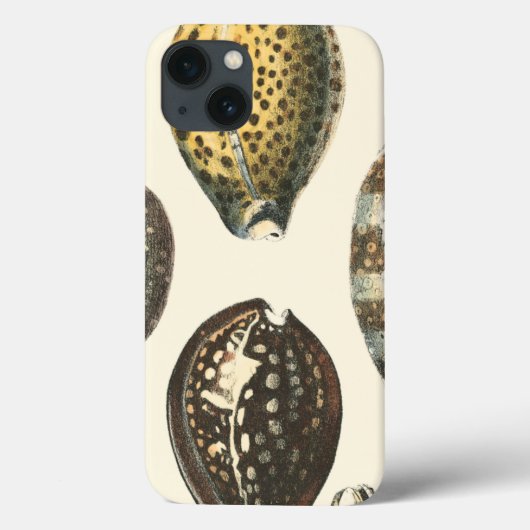 Coques Case-Mate iPhone Coquillages uniquement formés (Verso)