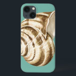 Etui iPhone 13 Coquille striée Sepia sur Turquoise<br><div class="desc">Megan Meagher est connue pour ses oeuvres d'art simples. Il s'agit d'une grande image d'art décoratif qui capte la vie marine avec une coquille sépia conque rayée. Obtenez cette impression fine d'art aujourd'hui sur couleur turquoise sur votre produit Zazzle.</div>