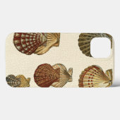 Coques Case-Mate iPhone Coquilles antiques craquelées (Verso (horizontal))