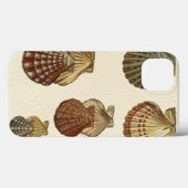 Coques Case-Mate iPhone Coquilles antiques craquelées (Verso (horizontal))