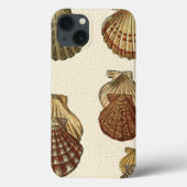 Coques Case-Mate iPhone Coquilles antiques crépitées (Verso)