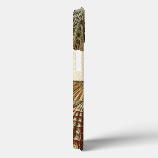 Coques Case-Mate iPhone Coquilles antiques crépitées (Verso / Droite)