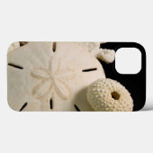 Coques Case-Mate iPhone Coquilles blanches et dollar de sable (Verso (horizontal))