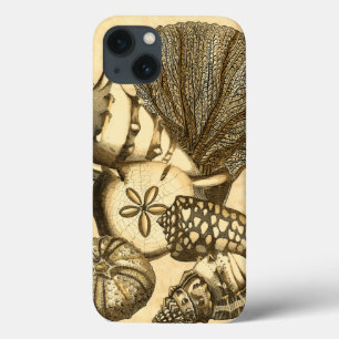 iPhone 13 Case Coquilles neutres et collection de corail