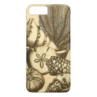 Coquilles neutres et collection de corail