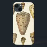 iPhone 13 Case Coquilles vintages de cône<br><div class="desc">L'artiste Denis Diderot est doué et connu pour ses grandes images de vie marine. Dans cette image vive, il capture ces coquillages crépités de conque de cône dans leur style plus naturel. Des conques sont souvent crépitées comme ces quatre coquillages et dans une sépia regardant le ton. Obtenez votre produit...</div>