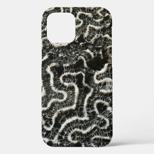 Coques Pour iPhone Corail noir et blanc II Abstrait Nature Photo