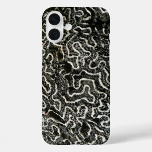 iPhone 16 Plus Case Corail noir et blanc II Abstrait Nature Photo