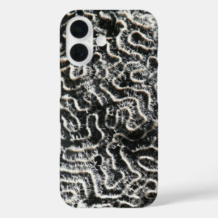 Coques iPhone 16 Corail noir et blanc II Photo de nature abstraite