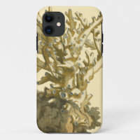 Corail par la mer
