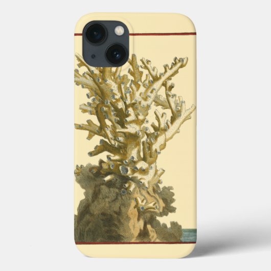 Coques Case-Mate iPhone Corail par la mer (Verso)