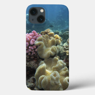 Etui iPhone 13 Corail, récif d'Agincourt, la Grande barrière de