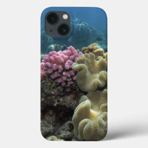 Etui iPhone 13 Corail, récif d'Agincourt, la Grande barrière de