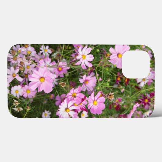 Coques Case-Mate iPhone Cosmos Flower Kirkwood (Verso (horizontal))