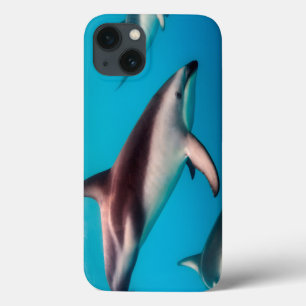Etui iPhone Case-Mate Cosse des dauphins sombres de Kaikoura