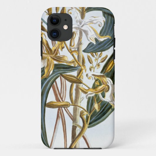 Coques Case-Mate iPhone Cosses de vanille, plat 65, de 'collection (Dos)