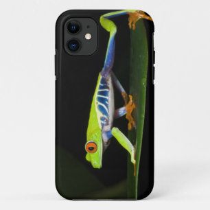 Coques Pour iPhone Costa Rica, Grenouille aux yeux rouges (Agalychnis