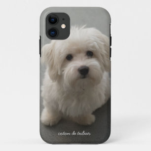 Coque iPhone 11 Coton de Tulear