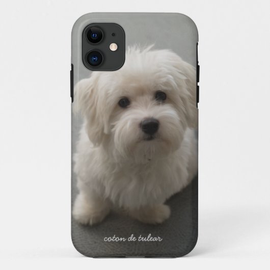 Coques Case-Mate iPhone Coton de Tulear (Dos)