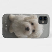 Coques Case-Mate iPhone Coton de Tulear (Dos (Horizontal))