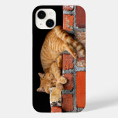 Coques Case-Mate iPhone Couchage de chat sur mur de brique (Verso)