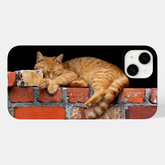 Coques Case-Mate iPhone Couchage de chat sur mur de brique (Verso (horizontal))