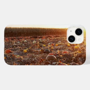 Coque Pour iPhone 14 Coucher de soleil au champ de citrouilles