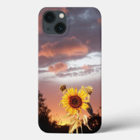 COUCHER DE SOLEIL ET COUCHER DE SOLEIL ÉTÉ