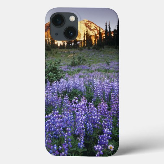 Coques Case-Mate iPhone Coucher de soleil sur le mont Adams et une prairie (Verso)