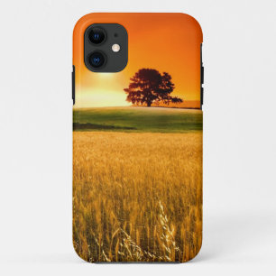 Coque iPhone 11 Coucher du soleil rouge sang