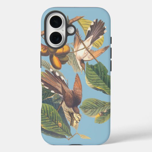 Coques Case-Mate iPhone Coucou à bec jaune Audubon (Verso)