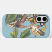 Coques Case-Mate iPhone Coucou à bec jaune Audubon (Verso (horizontal))