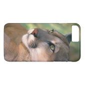 Coques Case-Mate iPhone Cougar, Californie (Dos (Horizontal))