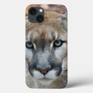 Etui iPhone Case-Mate Couguar, lion de montagne, panthère de Floride, Pu