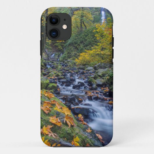Coques Case-Mate iPhone Couleur d'automne le long des chutes de Starvation (Dos)