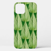 Couleur verte du feuille