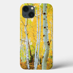 Coques Pour iPhone Couleurs automnales des arbres d'Aspen 1